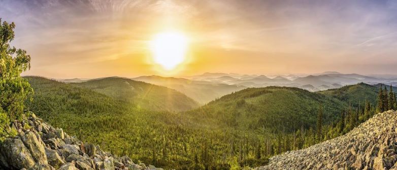 Bayerischer Wald